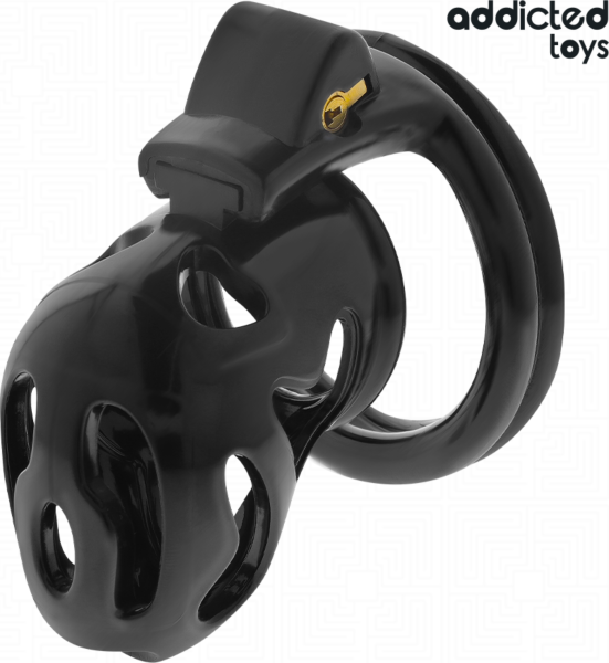 Kletka čistosti Addicted Toys Locked 8 cm s štirimi obroči in ključi