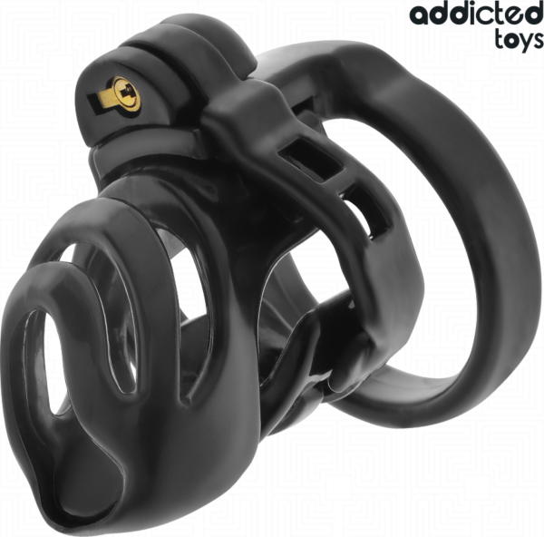 Kletka za čistost Addicted Toys Locked Eternal Lock z osnovnim delom, obročki in ključema