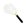 Bič Bound to Play Feather Teaser