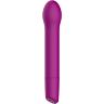 Vibrator S Pleasures Topher z elegantno notranjo stimulacijo
