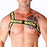 Pas Macho Underwear S/M z elegantnim dizajnom