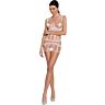 Bodystocking Passion Woman BS089 s čipko in prosojnostjo