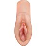 Masturbator PDX PLUS+ Great Pussy Dream Stroker s realističnim občutkom