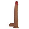 DILDOS TERIN PLUS realistični dildo s priseskom
