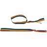 Pulsera Bolita Plateada PRIDE z LGBT zastavo