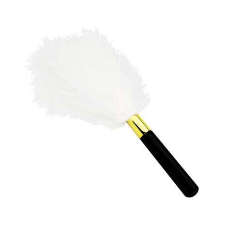 Bič Bound to Play Feather Teaser