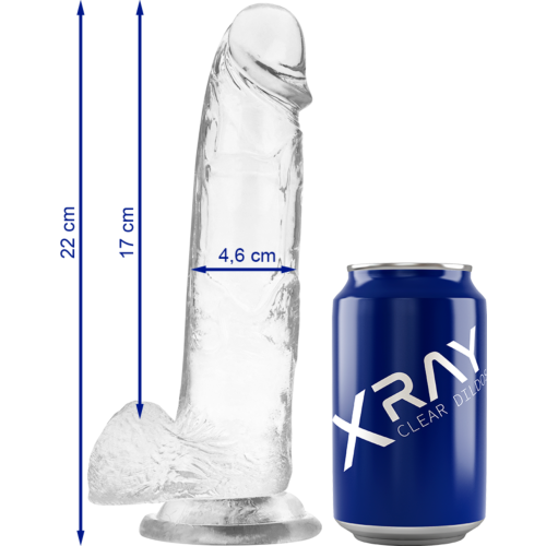 Dildo X RAY Clear 22 cm z močnim sesalnim dnom