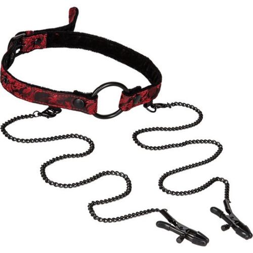 Mordaza z Zatiči Scandal za kontrolo in užitek