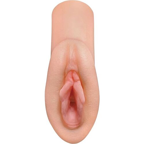 Masturbator PDX PLUS+ Perfect Pussy Dream Stroker z realističnimi podrobnostmi