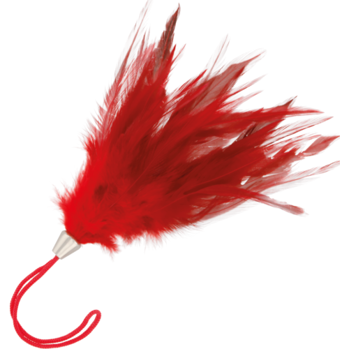 Pluma stimulacija DARKNESS 17 cm za erotske počeske