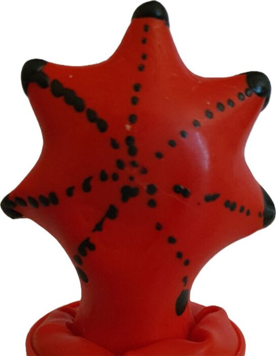 Preservativo Decorativo Condomerie Estrella de Mar